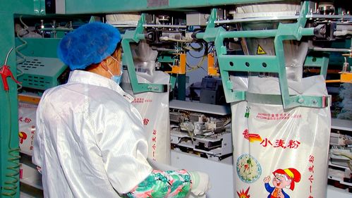 泰州泰興農產品加工園區 培大育強食品企業，聚力打造‘鮮食之都’與特色酒類產業新高地