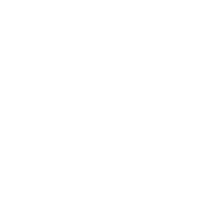 集團(tuán)簡介